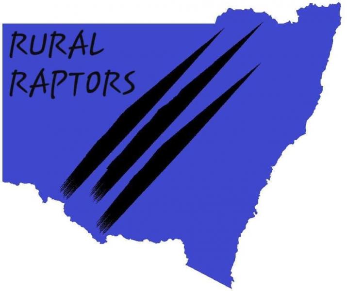 NSW Raptors logo