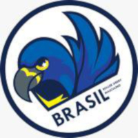 Brasil Roller Derby Masculino logo