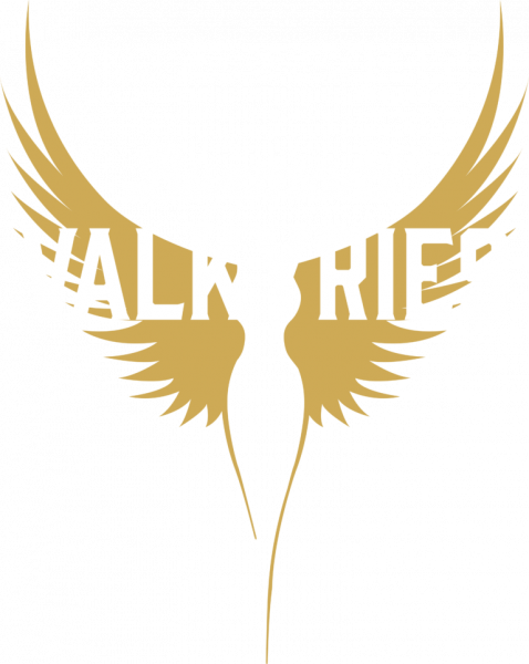 Valkyries logo