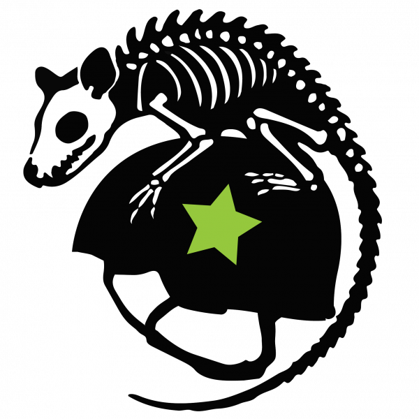 Chattahoochee Valley Roller Derby logo