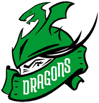 Team Dragon logo