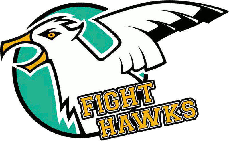 Fight Hawks logo