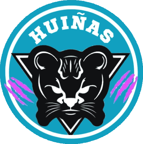 Huiñas Roller Derby logo