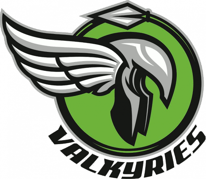 The Valkyries logo